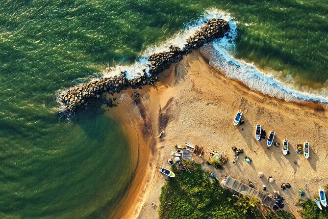 Sri Lanka 5 Day tour Best Nature and Culture include top hotels - A Detailed Look at the Sri Lanka 5-Day Tour