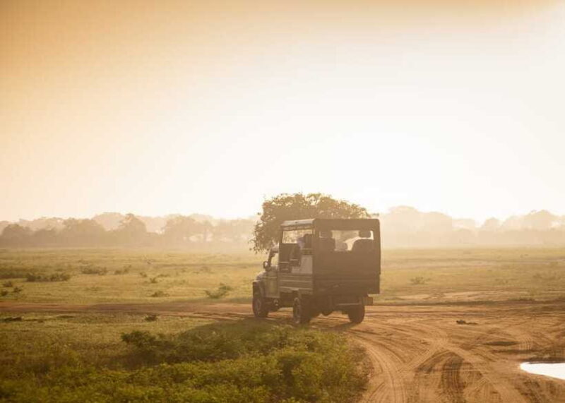 Sri Lanka: 5-Day Tour with Hill Country, Cultural Triangle - Who Would Love This Tour?