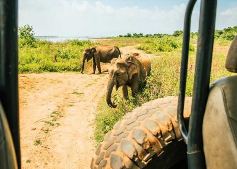 Sri Lanka: 5-Day Tour with Hill Country, Cultural Triangle - Discover the Beauty of Sri Lanka’s Hill Country and Cultural Triangle in 5 Days