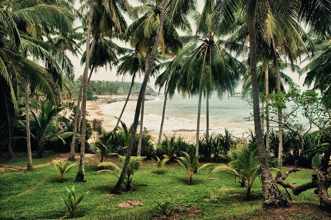 Sri Lanka 5 Days Tour - The Sum Up