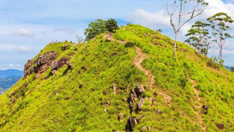 Sri Lanka: 6-Day Luxury Honeymoon Tour - A Closer Look at the 6-Day Sri Lanka Honeymoon Tour