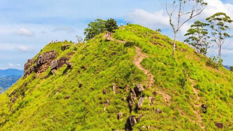 Sri Lanka: 6-Day Luxury Honeymoon Tour - Why We Think This Tour Is a Great Choice