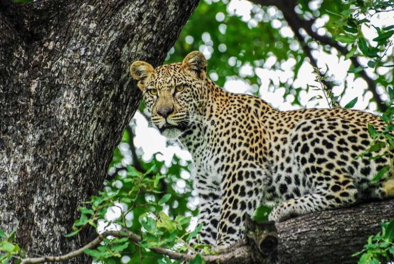 Sri Lanka: 7-Day Off-The-Beaten Path Private Tour - What Sets This Tour Apart?