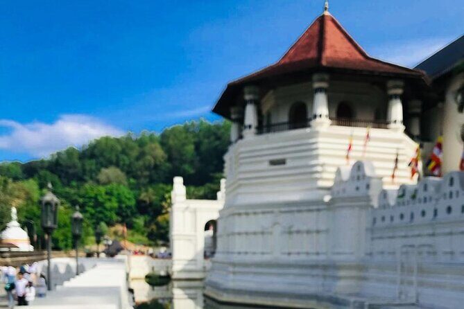 Sri Lanka 7 Day Tour with Private Driver - Day 5: Wildlife Encounters at Yala