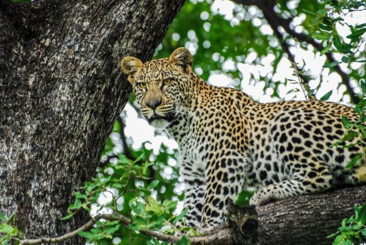 Sri Lanka 7 Days Beaten Path Tour - Experience and Highlights