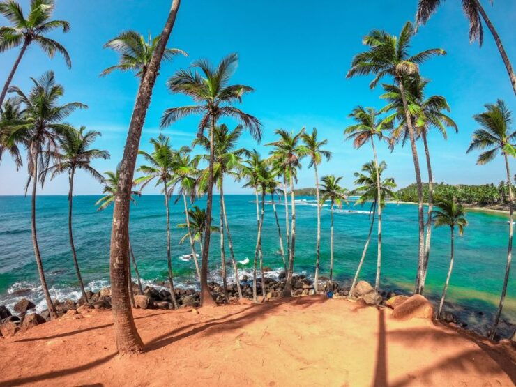 Sri Lanka 7 Days Beaten Path Tour - Itinerary