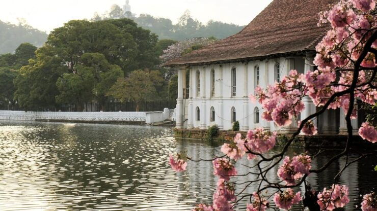 Sri Lanka: 7-Days Heritage Tour - Detailed Itinerary