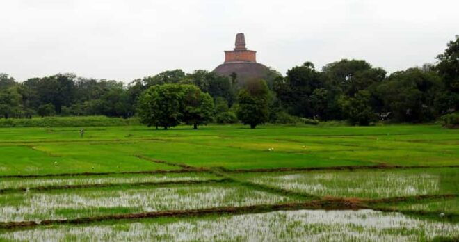 Sri Lanka: 7-Days Heritage Tour - Day 1: Arrival and Anuradhapura