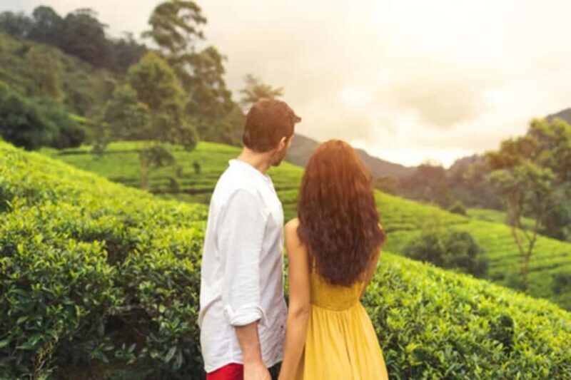 Sri Lanka: 7 Days Private Luxury Honeymoon Tour in Paradise - Day 4: Hill Country Charm in Kandy