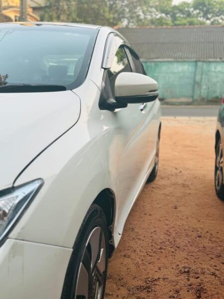 Sri Lanka: 8-Day Private Tour With Driver-Guide - Accessibility Features