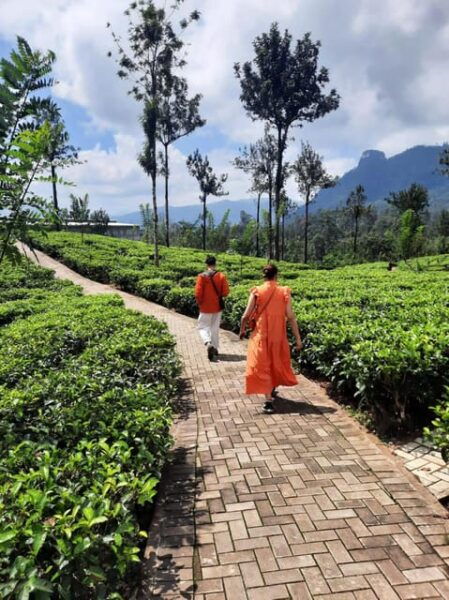 Sri Lanka: 8-Day Sightseeing Tour With Airport Transfers - Important Travel Tips