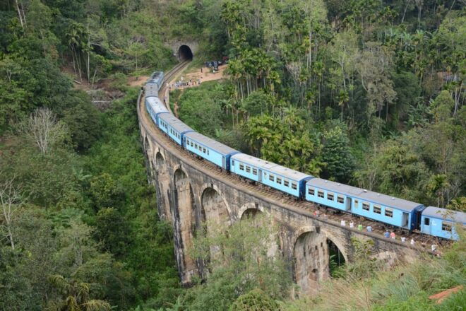 Sri Lanka 8-Day Tour Transport, Guide, HB Accommodation - Included Services and Amenities