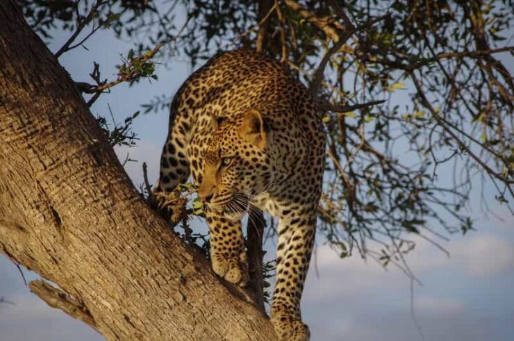 Sri Lanka: 9-Day Private Round Tours With H/B Accommodations - Good To Know