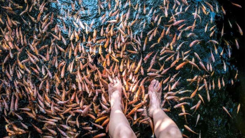 Sri Lanka: 9-Day Private Tour  Pearl of the Indian Ocean - The Itinerary Breakdown