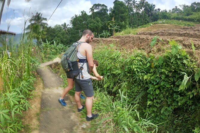 Sri Lanka All Inclusive Day Tour: Hiking & Activities Farmers Village Kandy - The Sum Up