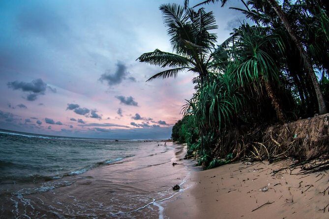 Sri Lanka Beach Best Tour Of 11 Days - Good To Know