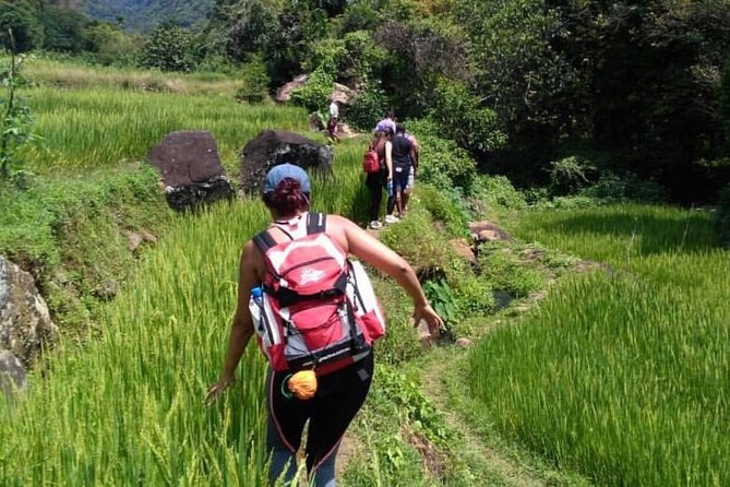 Sri Lanka Budget Tour Package 8 Days With Driver,Vehicle and H/B Accommodations. - Transportation Services