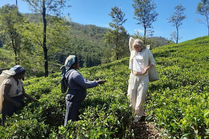 Sri Lanka Car and Driver Hire - Potential Drawbacks or Considerations