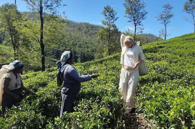 Sri Lanka Car and Driver Hire - Why Its a Good Fit