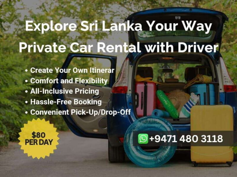 Sri Lanka Car Rental with Driver - 3 Days Minimum, 180km/Day - A Closer Look at the 3-Day Private Car Rental Experience
