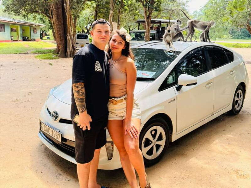 Sri Lanka Car Rental with Driver - 3 Days Minimum, 180km/Day - Good To Know