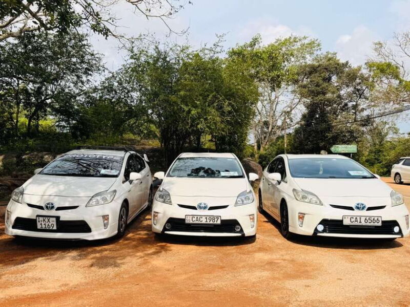 Sri Lanka Car Rental with Driver - 3 Days Minimum, 180km/Day - Deep Dive into the Itinerary & Destinations