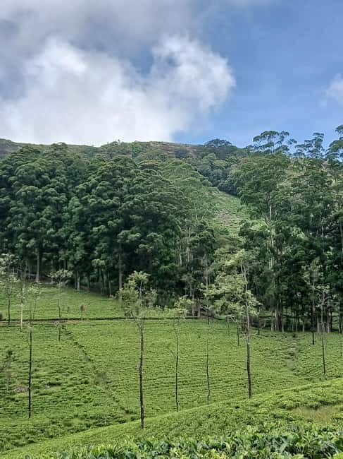 Sri Lanka: Central Province Motorbike Tour as Passenger - Practical Details and Value