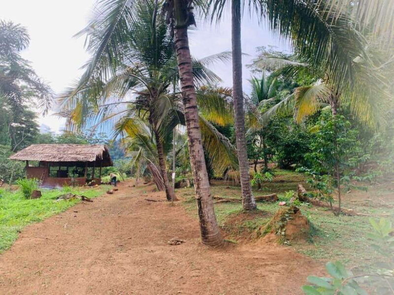 Sri Lanka: Ceylon Cinnamon Experience & Spice Garden Tour - Authenticity and Real-World Insights