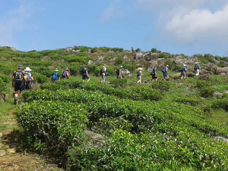 Sri Lanka: Ceylon Royal Tea Trails Trekking Tour - Who Will Love This Tour?