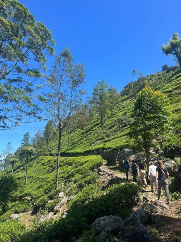 Sri Lanka: Ceylon Royal Tea Trails Trekking Tour - Exploring the Itinerary in Detail