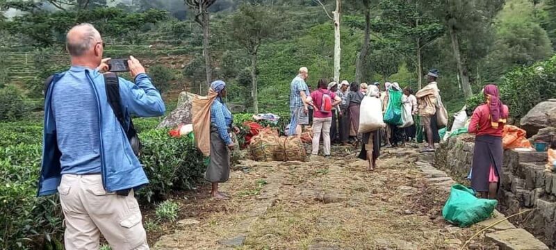 Sri Lanka: Ceylon Royal Tea Trails Trekking Tour - The Experience Provider: Sri Lanka Trekking Club
