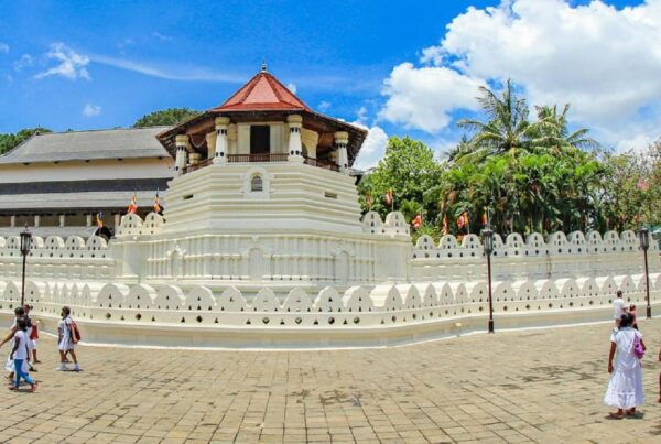 Sri Lanka Cultural & Heritage Tour - With 05 Star Hotels - Accommodation Options