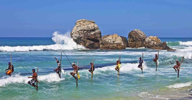 Sri Lanka Culture, Nature, Beach, Sightseeing Tour - Tour Highlights