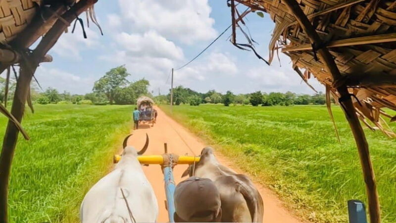 Sri Lanka Culture Triangle: 4-Day Journey with 3 Nights Stay - Who Is This Tour Best For?