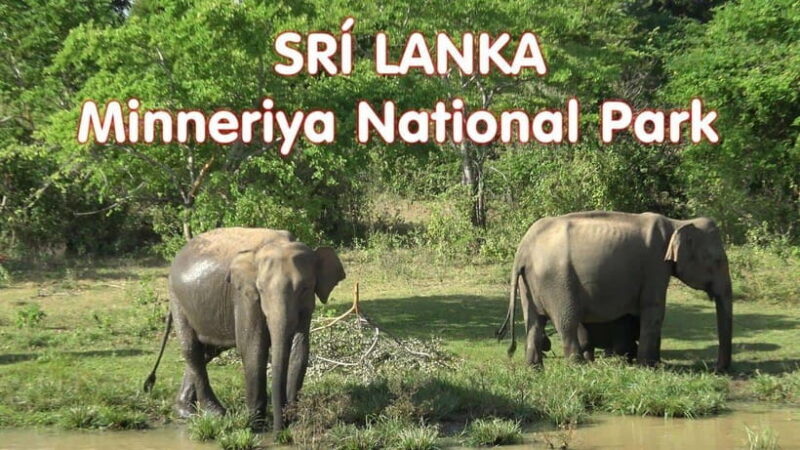 Sri Lanka Culture Triangle: 4-Day Journey with 3 Nights Stay - FAQ