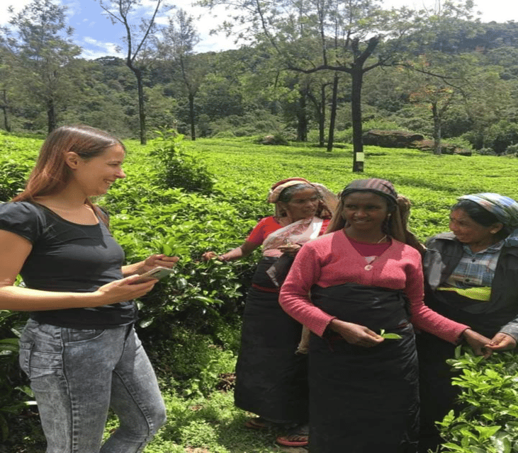 Sri Lanka E-Travels and Tours : Reliable Transport Solution - Transportation Features