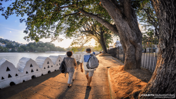 Sri Lanka E-Travels and Tours : Reliable Transport Solution - Enhancing Your Travel Experience
