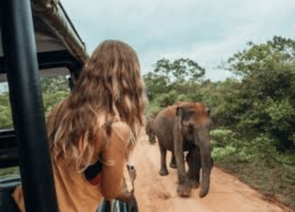 Sri Lanka E-Travels and Tours : Reliable Transport Solution - Frequently Asked Questions