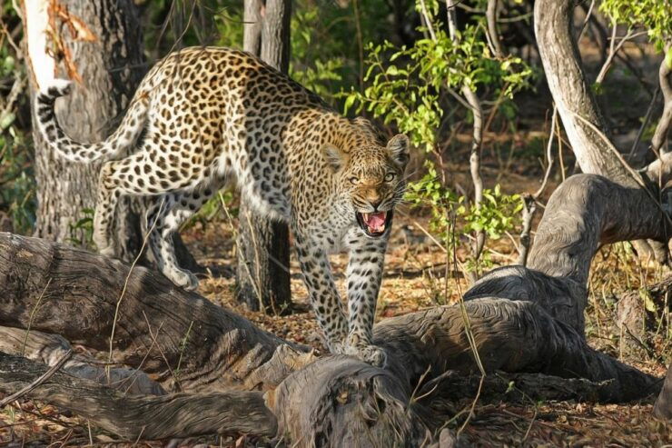 Sri Lanka Full Circle on Beaten Path-4 Days Tour - Booking Details
