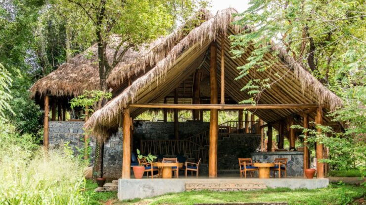 Sri Lanka: Gal Oya National Park Overnight Tour - Group Size and Pickup Details