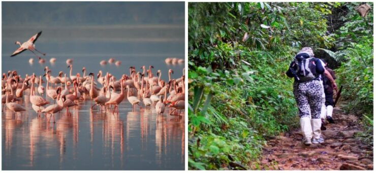 Sri Lanka Green Bless- Ultimate 2 Days Trip to Enjoy Nature - Activity Provider