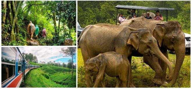 Sri Lanka Green Bless- Ultimate 2 Days Trip to Enjoy Nature - Tour Highlights