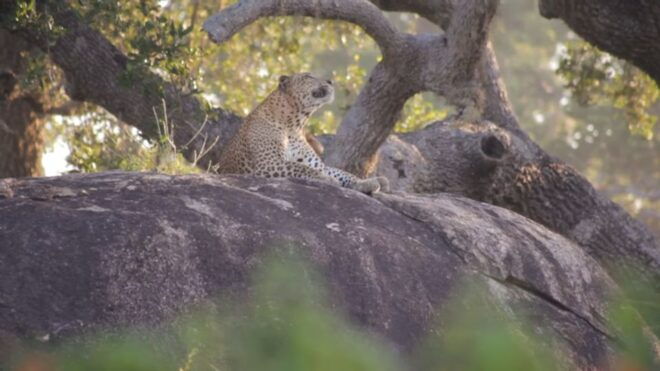 Sri Lanka Green Bless- Ultimate 2 Days Trip to Enjoy Nature - Booking Details