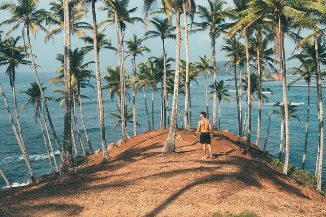 Sri Lanka Heritage and Beach Luxury Escape 12 Days 11 Nights - Days 5-6: Kandy and Nuwara Eliya — Hill Country Exploration