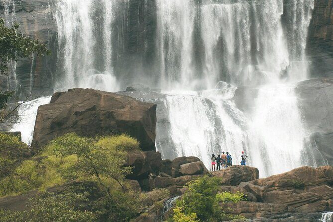 Sri Lanka Heritage and Beach Luxury Escape 12 Days 11 Nights - Days 9-10: Wildlife Safari and Whale Watching in Mirissa