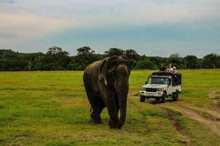 Sri Lanka Highlights: 3 Days, 2 Nights Tour Package - Good To Know