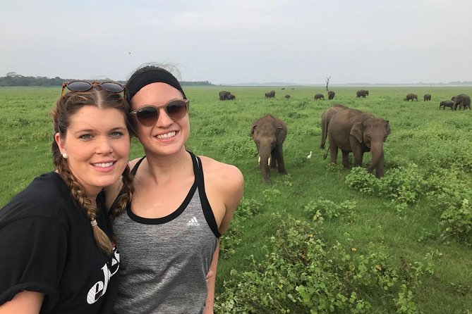 Sri Lanka Highlights in 6 Days - Day 2: Polonnaruwa, Minneriya Safari, Kandy, Nuwaraeliya, and Ella