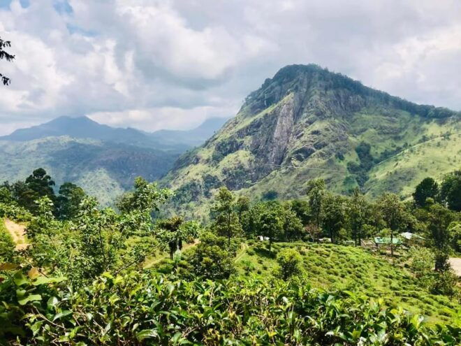 Sri Lanka: Hill Country 3-Day Tour - Included Amenities and Services