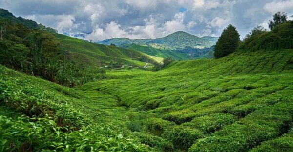 Sri Lanka: Hill Country 3-Day Tour - Suggested Packing List
