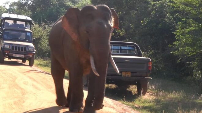 Sri Lanka Hill Country Exclusive 4-Day Tour - Day 3: Nuwara Eliya Journey